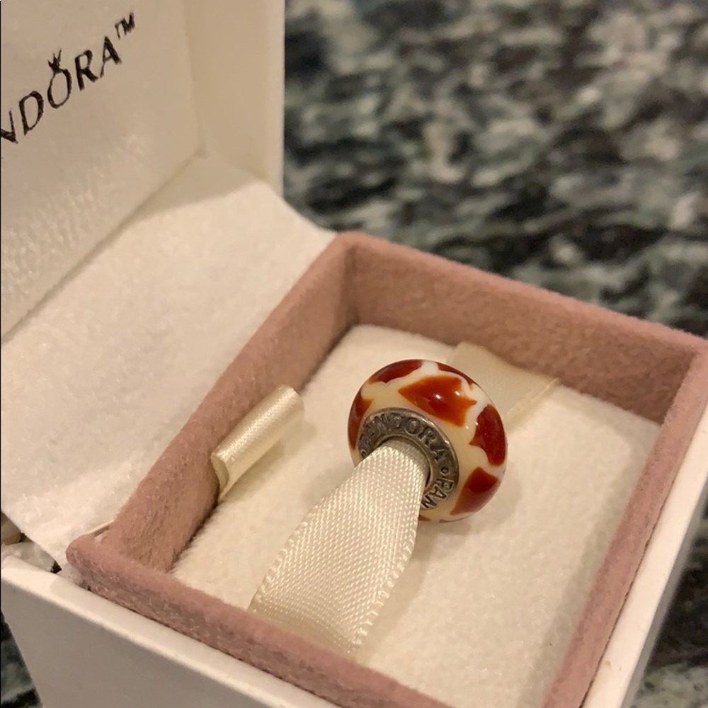 Pandora Charm— never used!